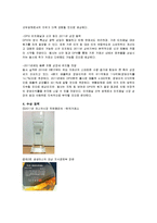 [국제경영] 히든챔피언 기업 `멜파스` 성공 분석-15