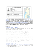 [국제경영] IT강국 핀란드의 성공비결-노키아 NOKIA 사례 중심-19