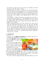 [마케팅 전략] 맥도날드와 KFC의 SWOT Matrix 사례와 국제 기업환경의 중요성-11