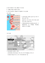 [국제운송론] 항만공사의 효율적인 운영을 위한 전략-2