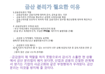 [경제학] 금산 분리법 완화 반대-12