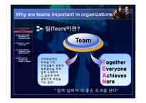 [조직행동론] 팀 개발 단계-3