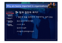 [조직행동론] 팀 개발 단계-4