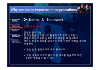 [조직행동론] 팀 개발 단계-9