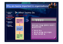 [조직행동론] 팀 개발 단계-10