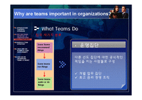 [조직행동론] 팀 개발 단계-11