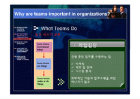 [조직행동론] 팀 개발 단계-12