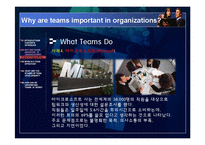 [조직행동론] 팀 개발 단계-13