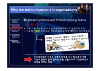 [조직행동론] 팀 개발 단계-19