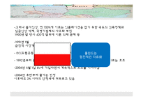 [국제경영] 동유럽 사유화의 문제점 고찰-10
