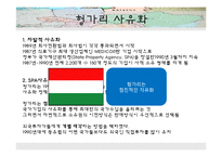 [국제경영] 동유럽 사유화의 문제점 고찰-20