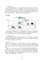 [경영정보] 세븐일레븐의 MIS-12
