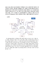 [경영정보] 세븐일레븐의 MIS-19