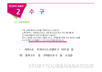 [E-비즈니스] 맞춤화 vs 개인화의 실제적 사례 연구분석-하나투어와 스투비 투어-13