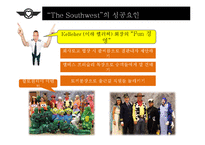 [경영학] 사우스웨스트 항공사의 성공요인 분석-9