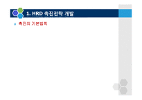 [인적자원개발론] 조직에서의 HRD의 촉진-5