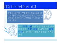 [경영학] 게릴라마케팅(Guerrilla Marketing) 사례와 시사점-3