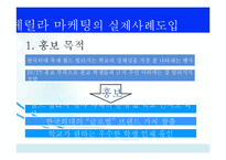 [경영학] 게릴라마케팅(Guerrilla Marketing) 사례와 시사점-15