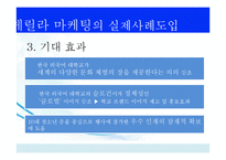 [경영학] 게릴라마케팅(Guerrilla Marketing) 사례와 시사점-19