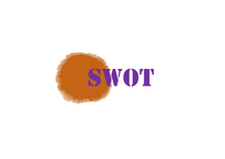 [마케팅] 페댁스의 STP, SWOT, 4P 분석 및 마케팅 전략 제안(영문)-11