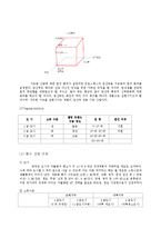 [마케팅 전략] 프로스펙스 임산부용 전용 기능화의 중국시장 진출 및 전략 제안-12