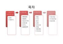[경영학] B급 농산물을 이용한 유기농 생과일 주스 사업 계획-2