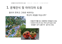 [경영학] B급 농산물을 이용한 유기농 생과일 주스 사업 계획-3