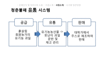 [경영학] B급 농산물을 이용한 유기농 생과일 주스 사업 계획-17
