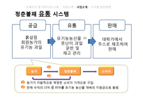 [경영학] B급 농산물을 이용한 유기농 생과일 주스 사업 계획-18
