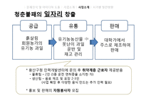 [경영학] B급 농산물을 이용한 유기농 생과일 주스 사업 계획-19