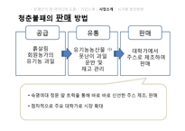 [경영학] B급 농산물을 이용한 유기농 생과일 주스 사업 계획-20