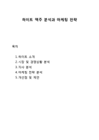 [마케팅 원론] 하이트 맥주 분석과 마케팅 전략-1
