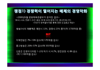[미디어 경제] 미디어렙 1공영 1민영화-6