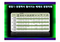[미디어 경제] 미디어렙 1공영 1민영화-7