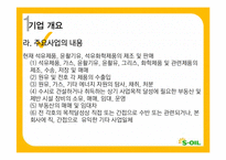 [재무관리] 에스오일 S-OIL 재무분석-5