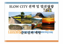 [관광자원론] 슬로우시티(SLOW CITY) 전략 및 발전방향-한국과 이탈리아 비교 분석-17