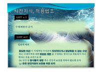 [국제경제] 바다거북 관련 국제협약 고찰-3