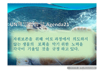 [국제경제] 바다거북 관련 국제협약 고찰-6