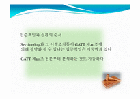 [국제경제] 바다거북 관련 국제협약 고찰-13