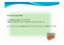 [국제경제] 바다거북 관련 국제협약 고찰-17