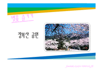 [관광 이벤트론] 진해 군항제 프로그램의 문제점과 해결방안-5