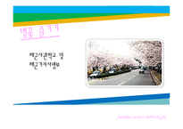 [관광 이벤트론] 진해 군항제 프로그램의 문제점과 해결방안-7