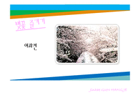 [관광 이벤트론] 진해 군항제 프로그램의 문제점과 해결방안-8