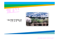 [관광 이벤트론] 진해 군항제 프로그램의 문제점과 해결방안-10