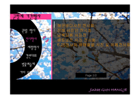 [관광 이벤트론] 진해 군항제 프로그램의 문제점과 해결방안-14
