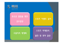 [조직관리론] 스포츠 조직관리-조직의 효과성 사례 및 적용-6