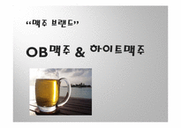 [기업경영의 이해] 맥주 브랜드 OB맥주 & 하이트맥주 비교 분석-1