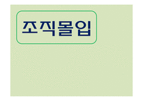 [조직행동론] 스포츠 조직관리 - 조직몰입 사례와 적용-1