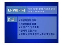 [경영정보] ERP 시스템의도입사례 및 기대효과, 장단점 분석-10