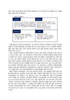 [경영학원론] 삼성전자의 도약과정(주요 의사결정 중심으로) 분석 및 미래 비전 제시-10